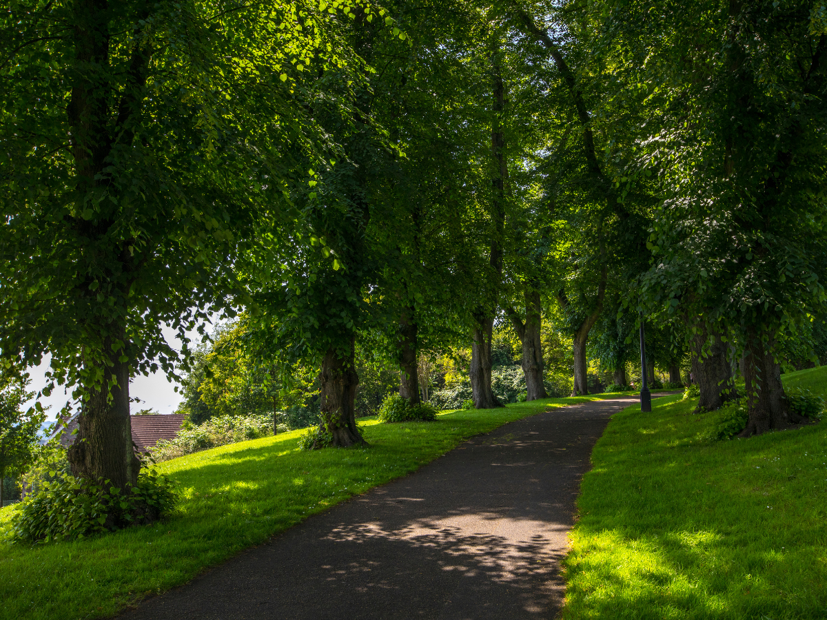 scattering ashes in bristol