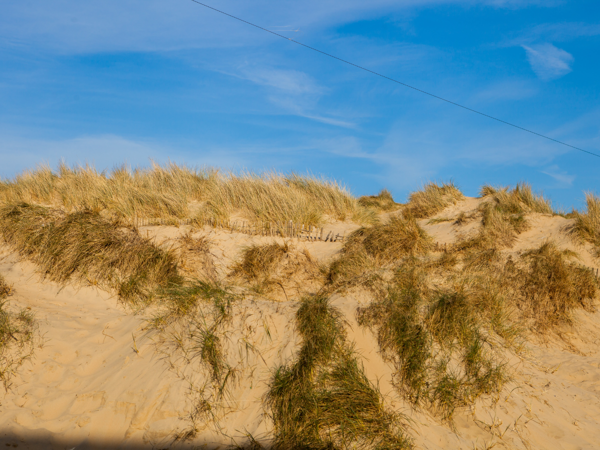 East Sussex ashes scattering