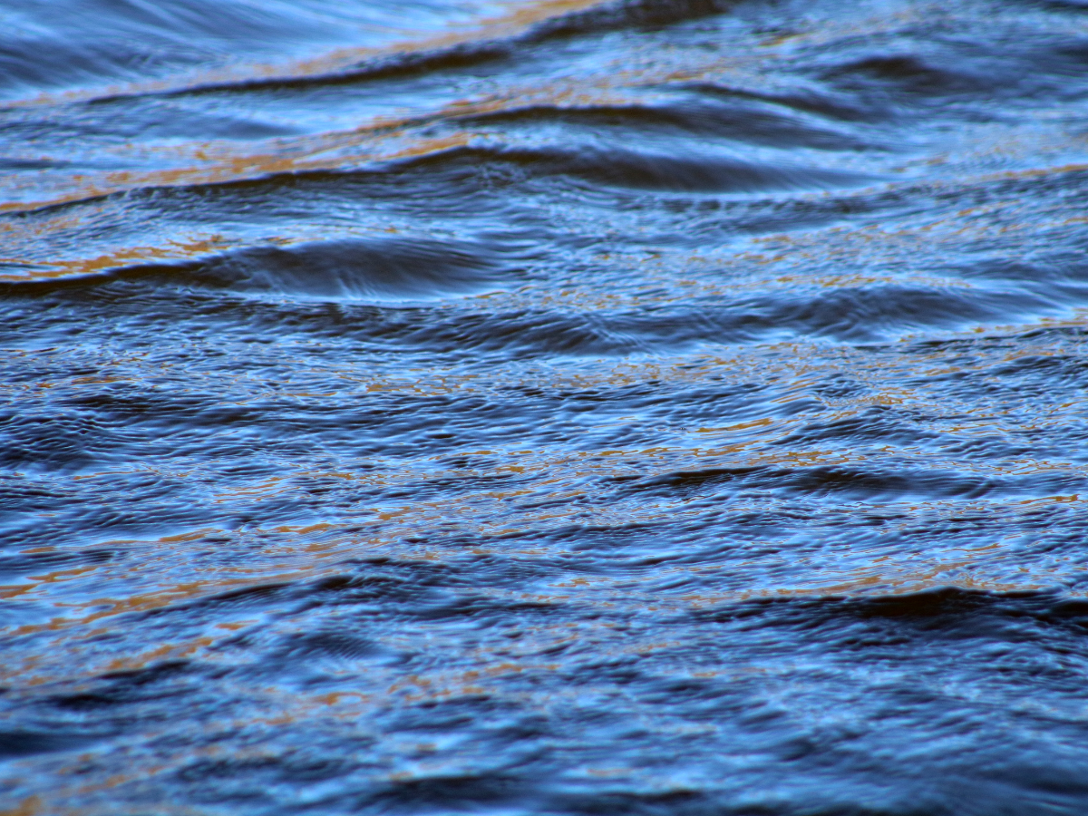 how to scatter ashes in East Sussex