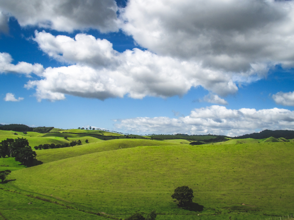 how to scatter ashes in Wiltshire