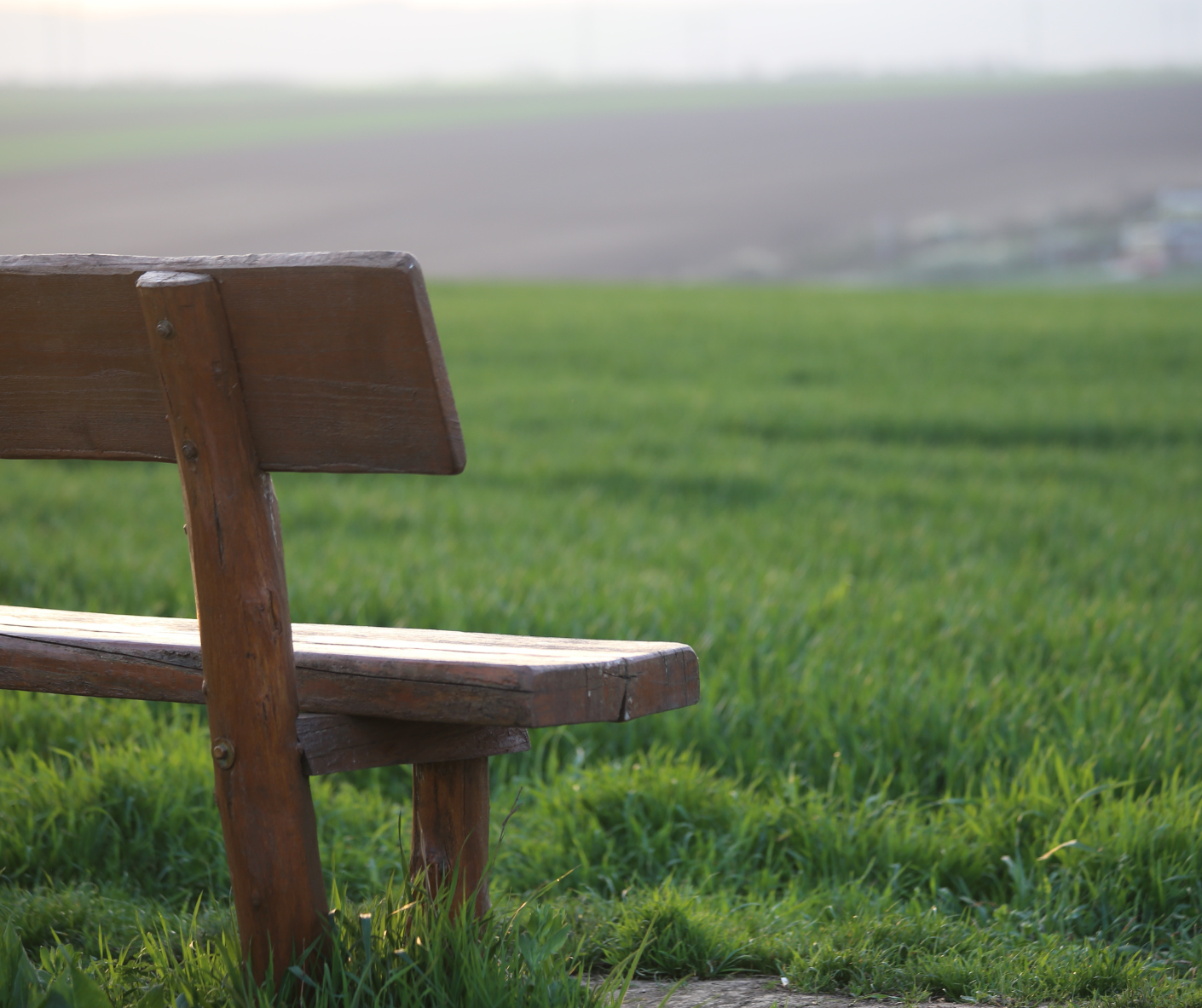 family holding hands