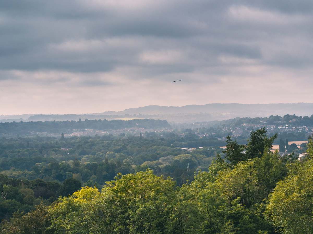 Surrey hills