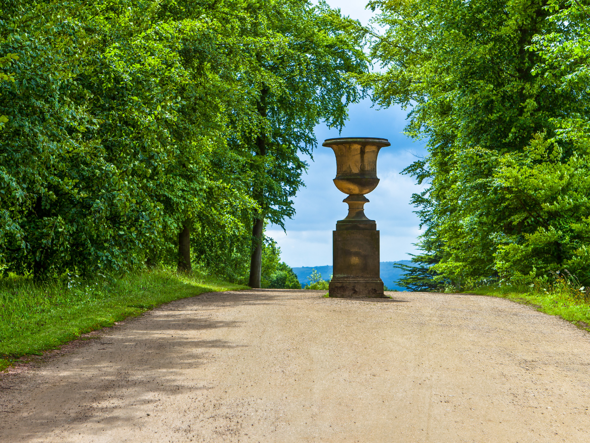 Scatter their ashes in Windsor Great Park