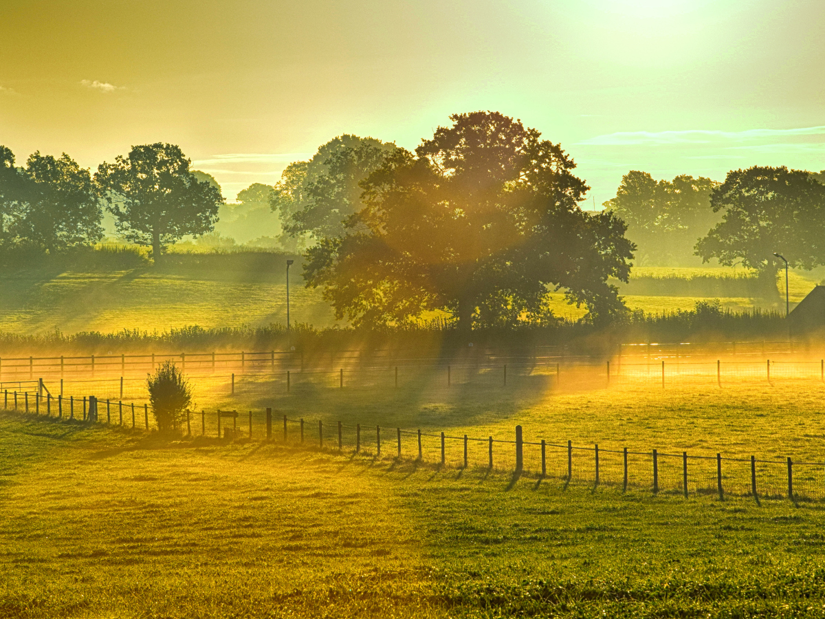 Scatter Their Ashes at Stourhead