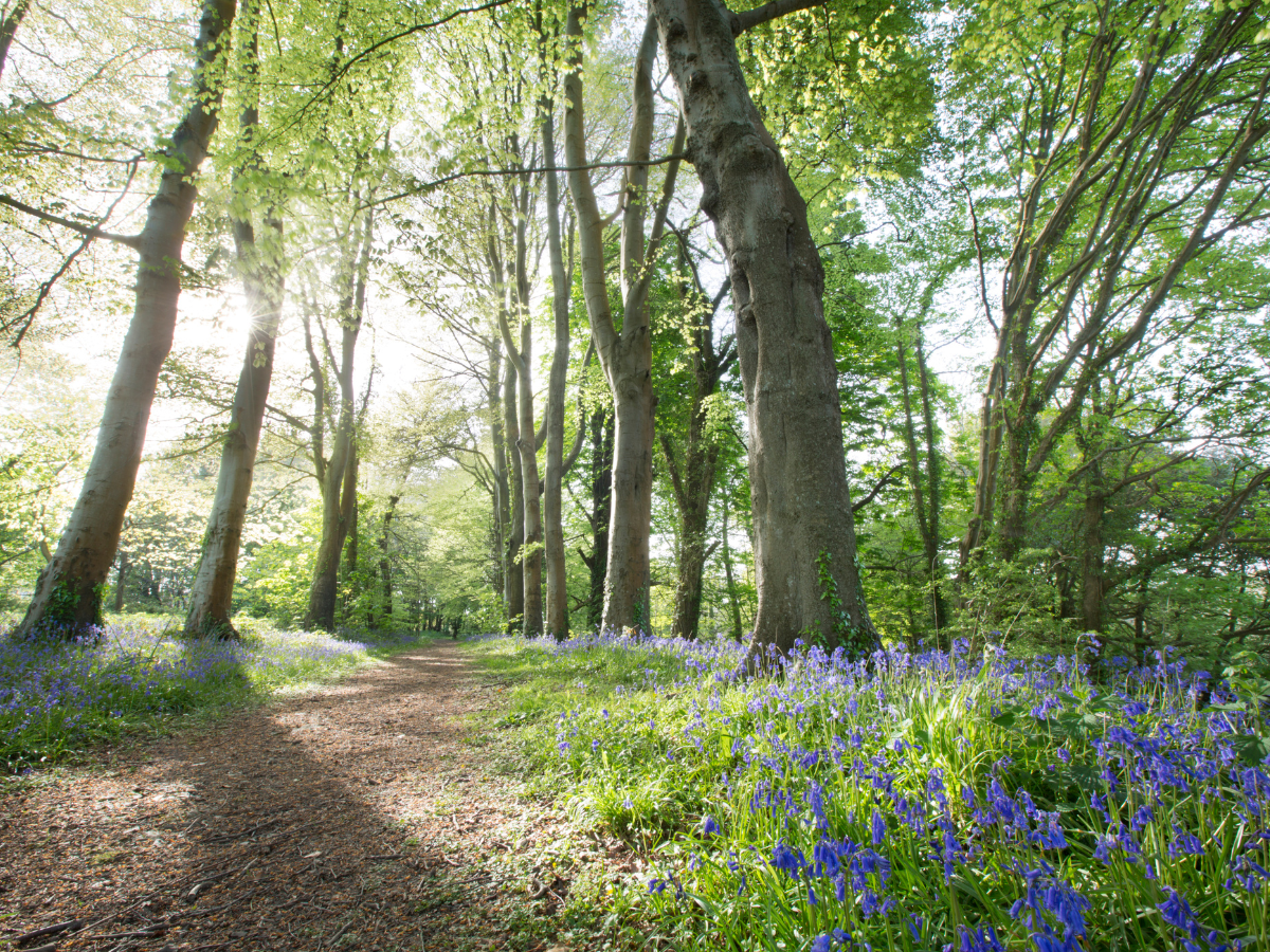 scattering ashes in essex