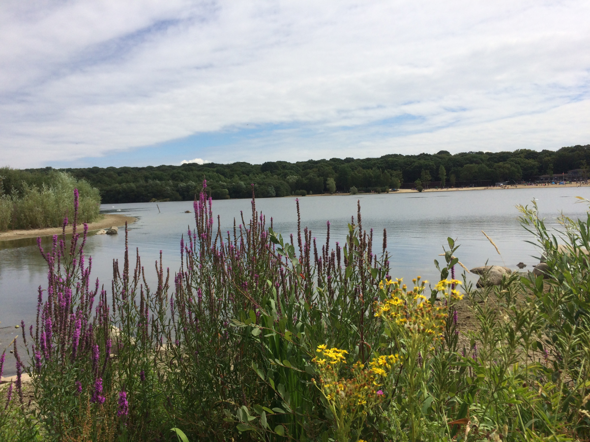 4 Beautiful Locations to Scatter a Loved One’s Ashes in Middlesex, UK