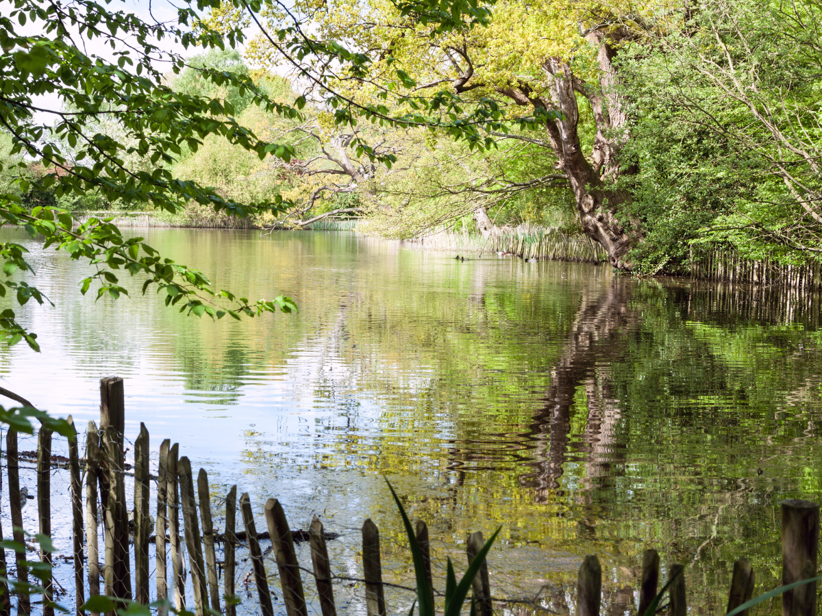 scattering ashes in trent country park