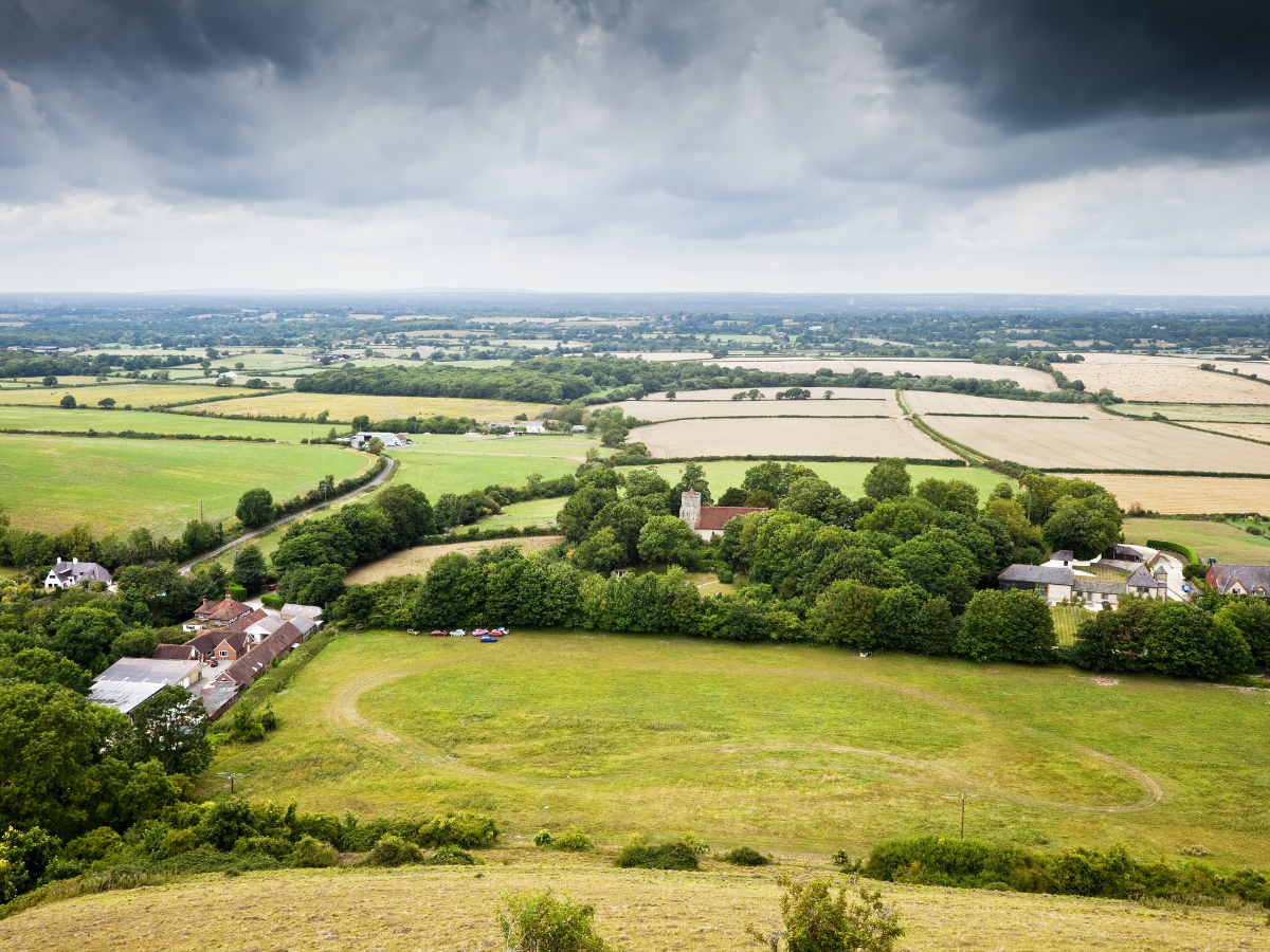 kingley vale aerial shot