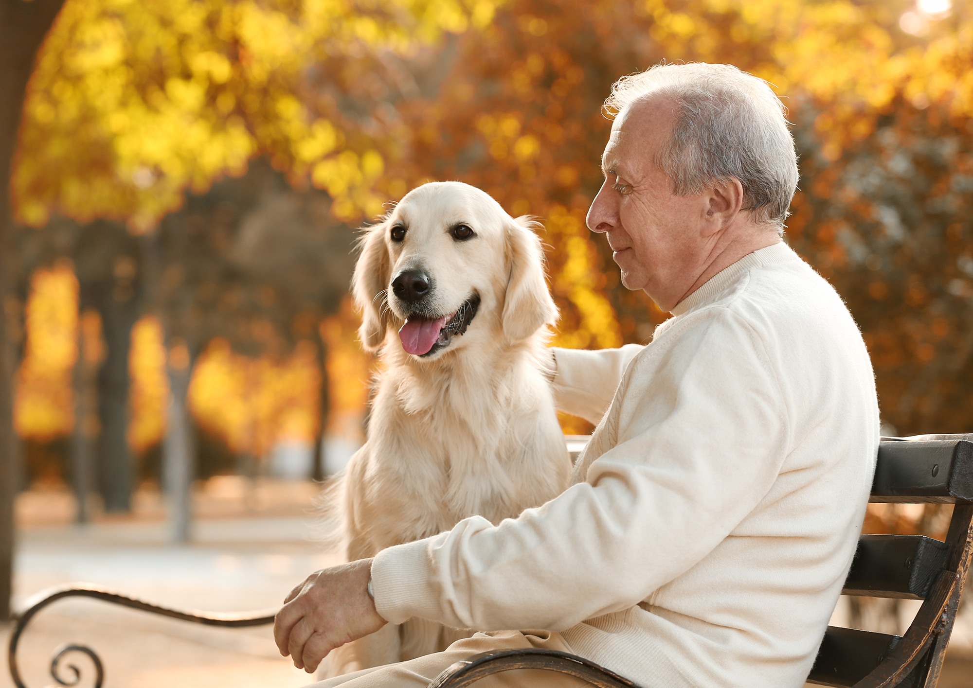 Can I pay for my cremation in advance?